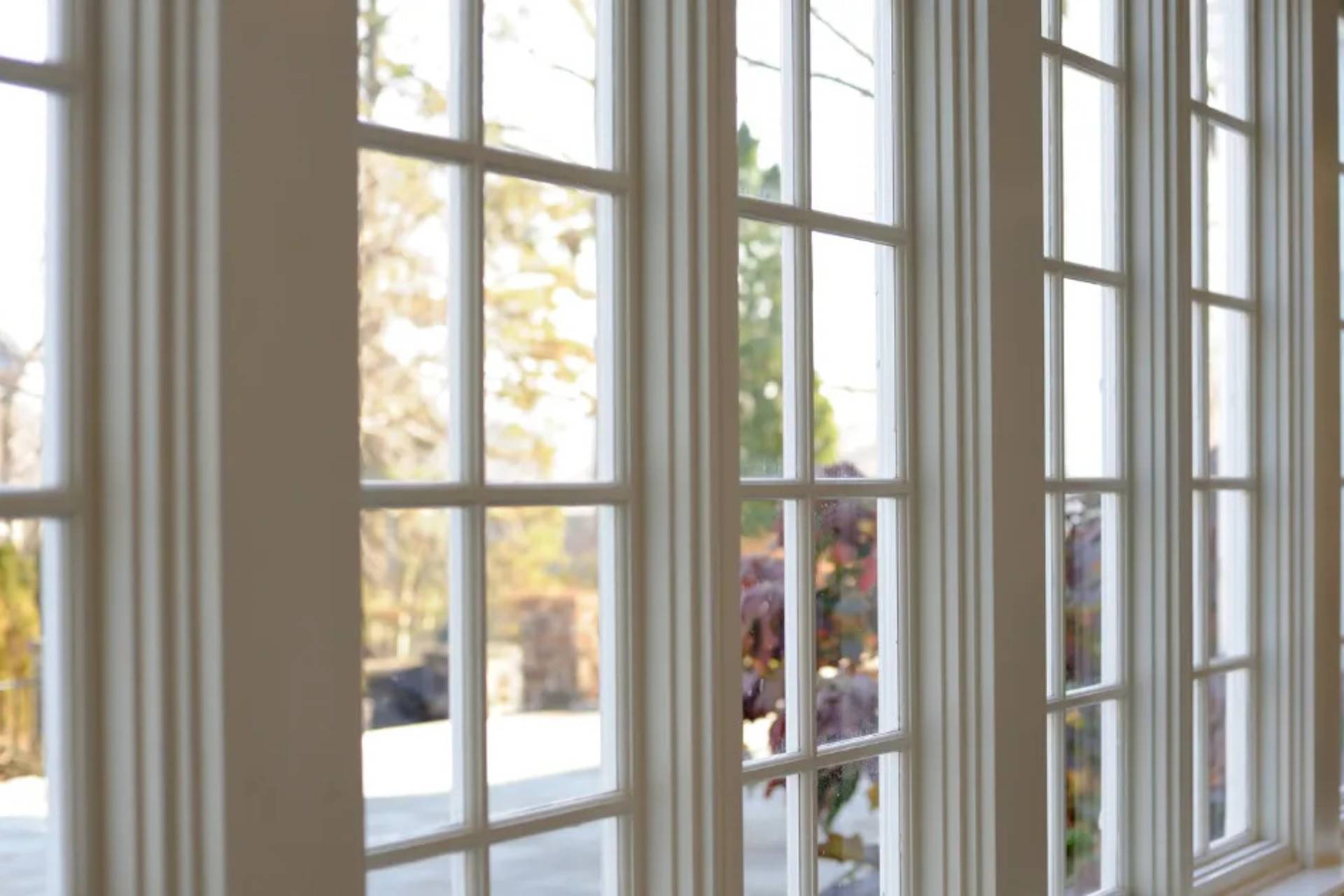 Specializes in installing and replacing windows